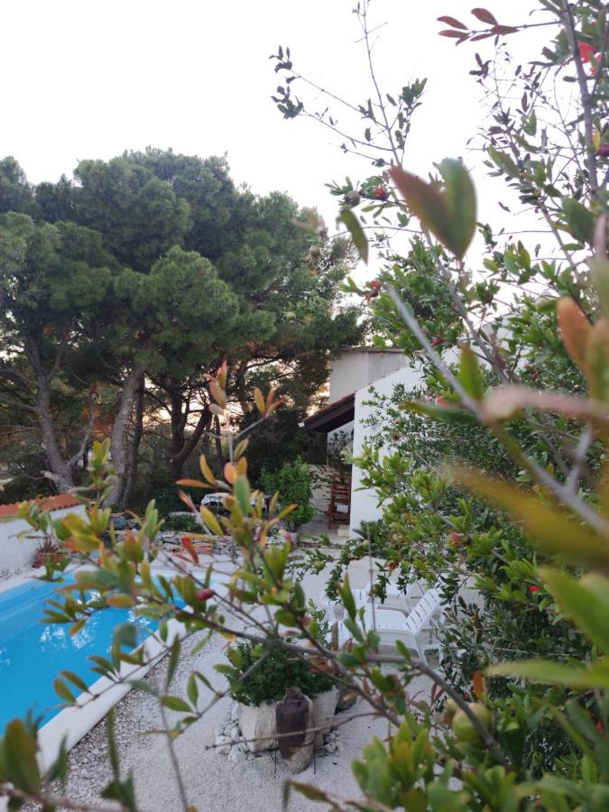 Vacation House Milka 米欧纳 外观 照片