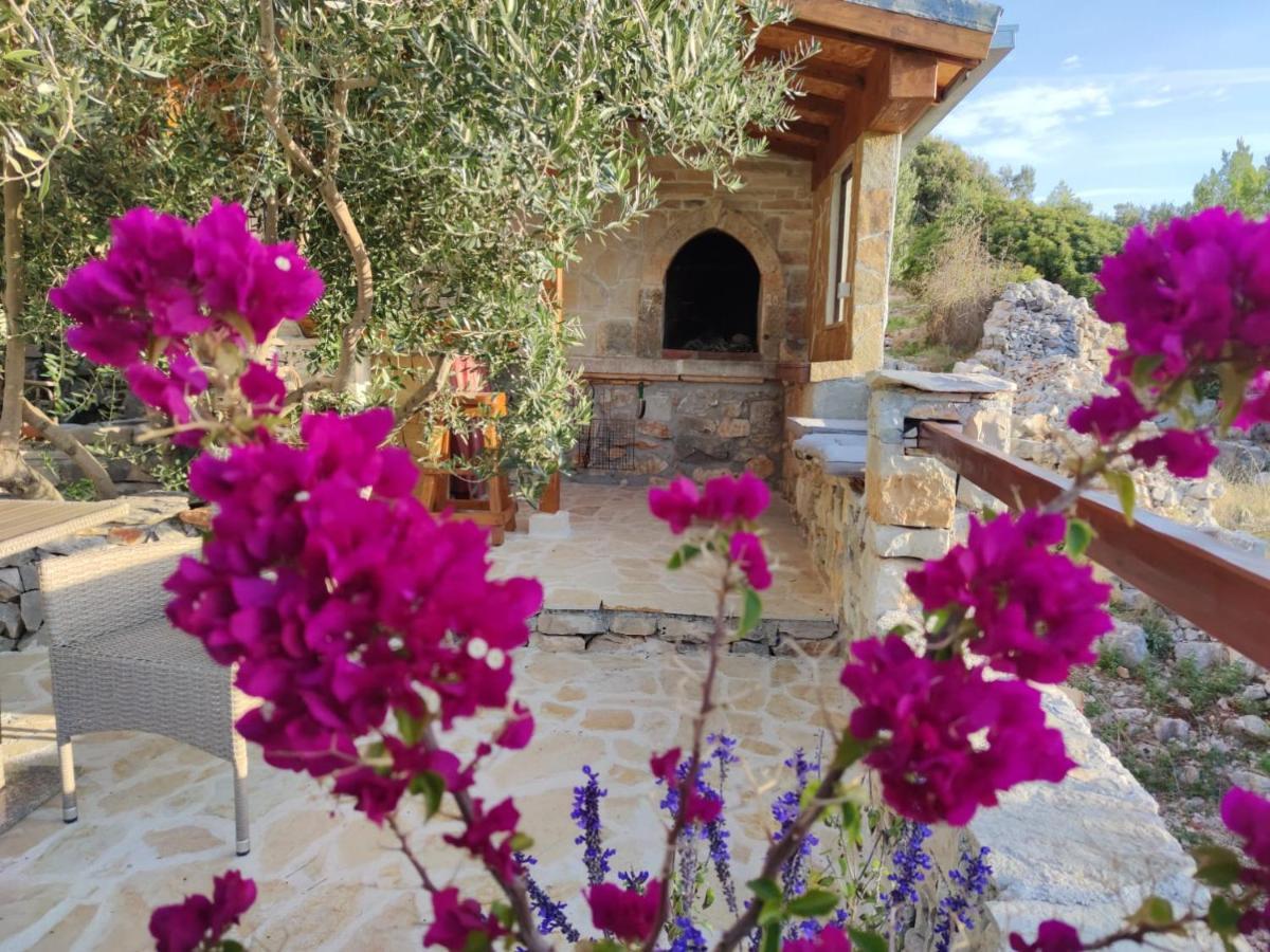 Vacation House Milka 米欧纳 外观 照片